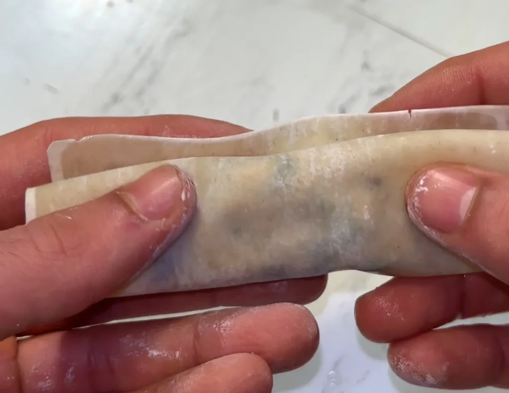 wonton